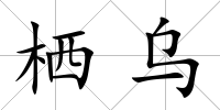 棲烏