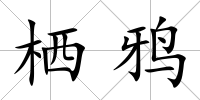 棲鴉