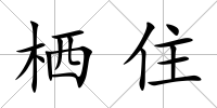 棲住