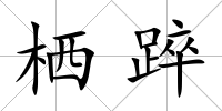 棲踤