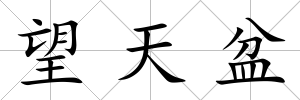 望天盆