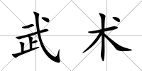 武術(shù)