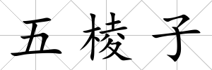 五棱子
