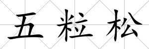 五粒松