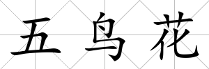 五鳥花
