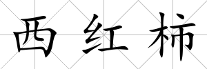 西紅柿