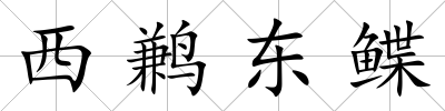 西鶼東鰈