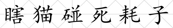 瞎貓碰死耗子