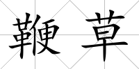 鞭草