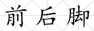 前后腳