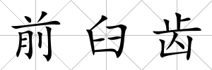 前臼齒