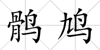 鶻鳩