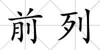 前列