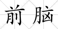 前腦