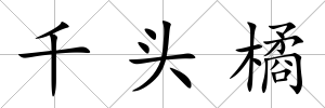 千頭橘