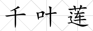 千葉蓮