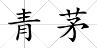 青茅