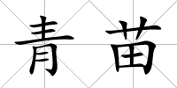 青苗