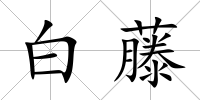 白藤