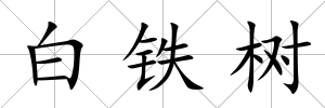 白鐵樹