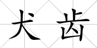 犬齒