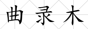 曲錄木