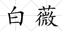 白薇