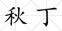 秋丁