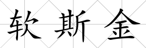 軟斯金