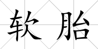 軟胎
