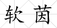 軟茵