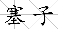 塞子