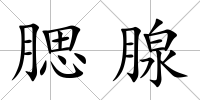 腮腺