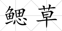 鰓草