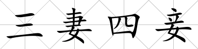 三妻四妾
