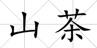 山茶