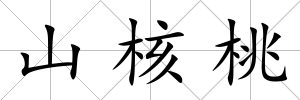山核桃