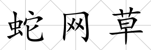 蛇網(wǎng)草