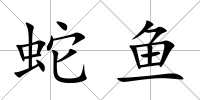 蛇魚