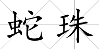 蛇珠