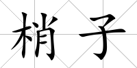 梢子