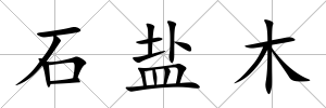 石鹽木