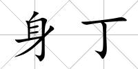 身丁