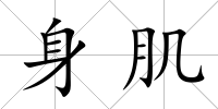 身肌