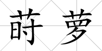 蒔蘿