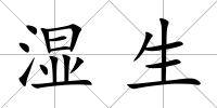 濕生