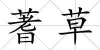 蓍草