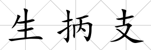 生抦支