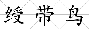 綬帶鳥
