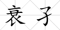 衰孑